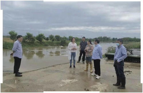 黃陂區科學應對暴雨來襲，多措并舉筑牢防汛排澇安全防線